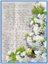 Bài thơ “Xuân Về” của bác Mạnh Hùng gửi tặng các thầy thuốc Bệnh viện Phục hồi chức năng Bắc Giang