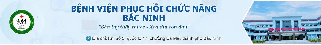 Banner Website