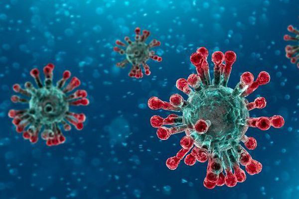 Virus corona có tuổi thọ bao lâu, tự hủy diệt trong môi trường nào?